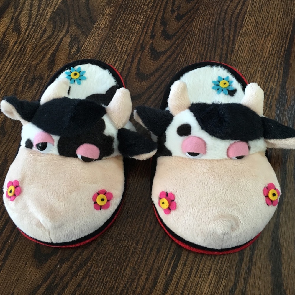 Swiss souvenir slippers